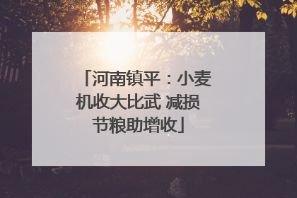 河南镇平：小麦机收大比武 减损节粮助增收