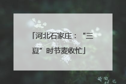 河北石家庄：“三夏”时节麦收忙