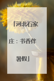 河北石家庄：书香伴暑假
