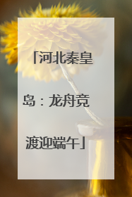 河北秦皇岛：龙舟竞渡迎端午