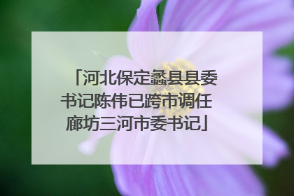 河北保定蠡县县委书记陈伟已跨市调任廊坊三河市委书记