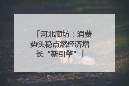 河北廊坊：消费势头稳点燃经济增长“新引擎”
