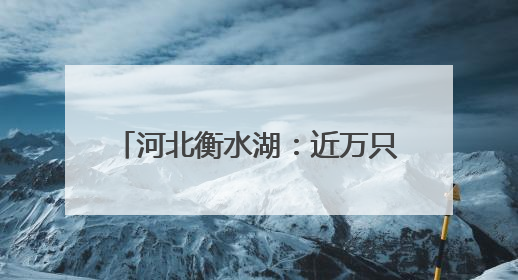 河北衡水湖：近万只夏候鸟进入繁殖期