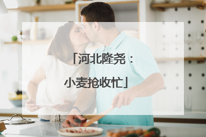 河北隆尧：小麦抢收忙
