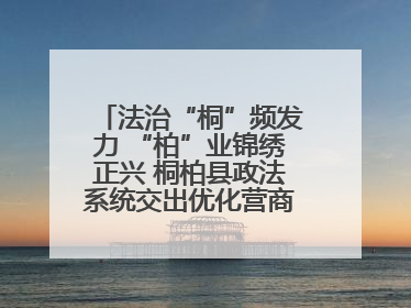 法治“桐”频发力 “柏”业锦绣正兴 桐柏县政法系统交出优化营商环境“成绩单”