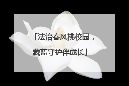 法治春风拂校园，藏蓝守护伴成长