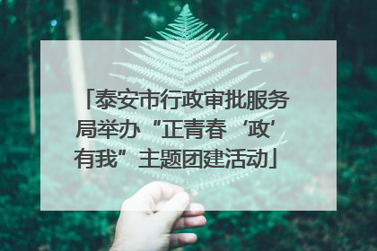 泰安市行政审批服务局举办“正青春‘政’有我”主题团建活动