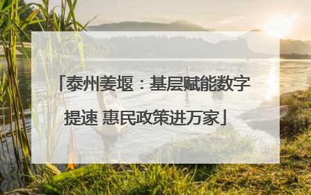 泰州姜堰：基层赋能数字提速 惠民政策进万家