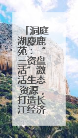 洞庭湖麋鹿苑：“三资盘活”激活生态资源，打造长江经济带生态价值转化新标杆