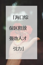 海口综保区释放强劲人才引力