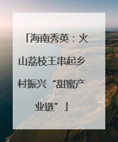 海南秀英：火山荔枝王串起乡村振兴“甜蜜产业链”