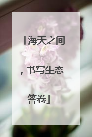 海天之间，书写生态答卷
