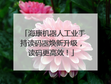海康机器人工业手持读码器焕新升级，读码更高效！