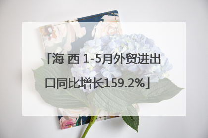 海 西 1-5月外贸进出口同比增长159.2%