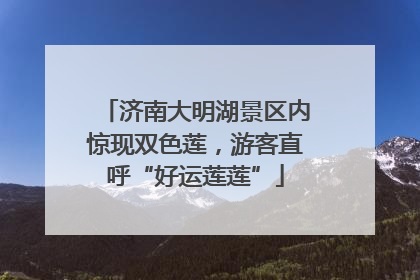 济南大明湖景区内惊现双色莲，游客直呼“好运莲莲”