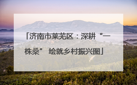 济南市莱芜区：深耕“一株桑” 绘就乡村振兴图