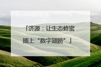 济源：让生态蜂蜜插上“数字翅膀”