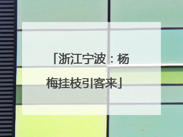 浙江宁波：杨梅挂枝引客来
