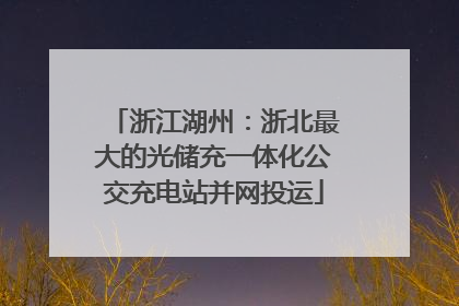 浙江湖州：浙北最大的光储充一体化公交充电站并网投运
