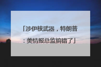 涉伊核武器，特朗普：美情报总监搞错了