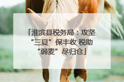 淮滨县税务局：攻坚“三夏”保丰收 税助“弱麦”尽归仓