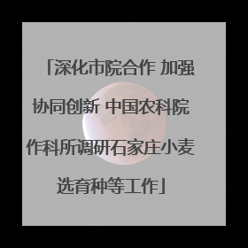 深化市院合作 加强协同创新 中国农科院作科所调研石家庄小麦选育种等工作