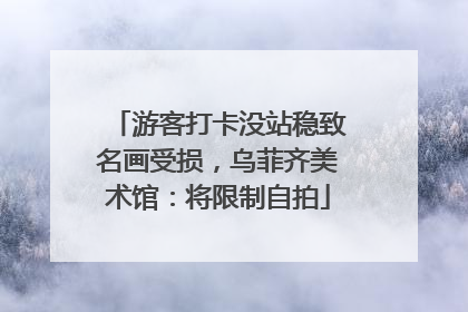 游客打卡没站稳致名画受损，乌菲齐美术馆：将限制自拍