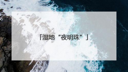 湿地“夜明珠”