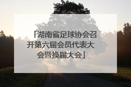 湖南省足球协会召开第六届会员代表大会暨换届大会
