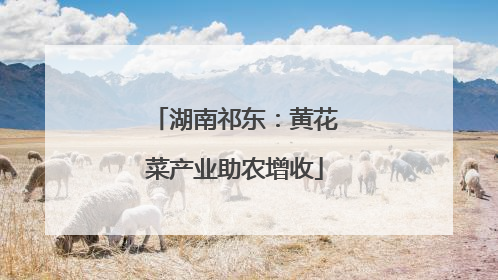 湖南祁东：黄花菜产业助农增收