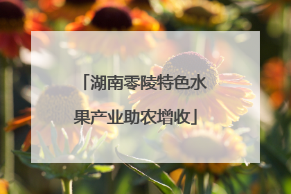 湖南零陵特色水果产业助农增收