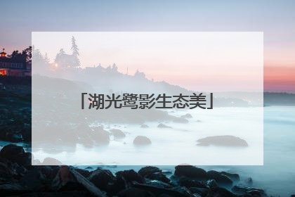 湖光鹭影生态美