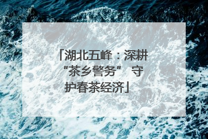 湖北五峰：深耕“茶乡警务” 守护春茶经济