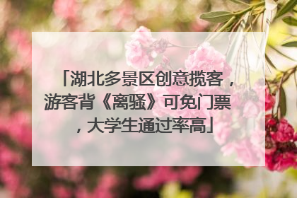 湖北多景区创意揽客，游客背《离骚》可免门票，大学生通过率高