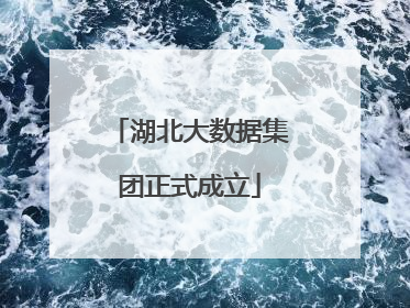 湖北大数据集团正式成立