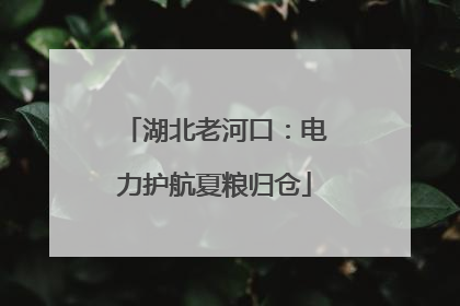 湖北老河口：电力护航夏粮归仓