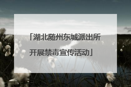 湖北随州东城派出所开展禁毒宣传活动