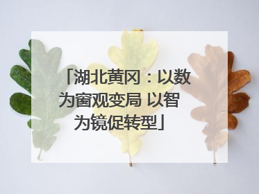 湖北黄冈：以数为窗观变局 以智为镜促转型