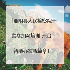 湘阴县人民检察院干警参加AI培训 开启智能办案新篇章