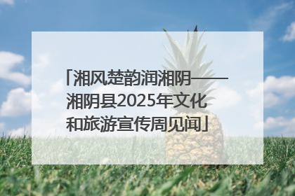 湘风楚韵润湘阴——湘阴县2025年文化和旅游宣传周见闻