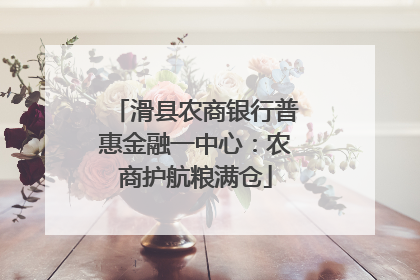 滑县农商银行普惠金融一中心：农商护航粮满仓