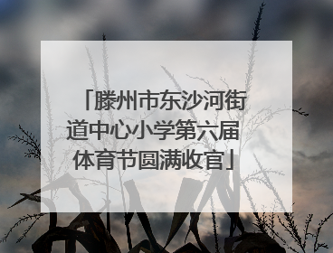 滕州市东沙河街道中心小学第六届体育节圆满收官