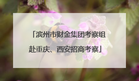 滨州市财金集团考察组赴重庆、西安招商考察