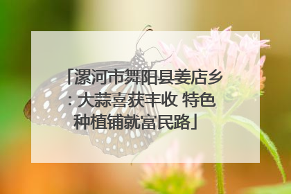 漯河市舞阳县姜店乡：大蒜喜获丰收 特色种植铺就富民路