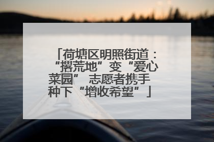 荷塘区明照街道：“撂荒地”变“爱心菜园” 志愿者携手种下“增收希望”