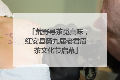 荒野寻茶觅真味，红安县第九届老君眉茶文化节启幕