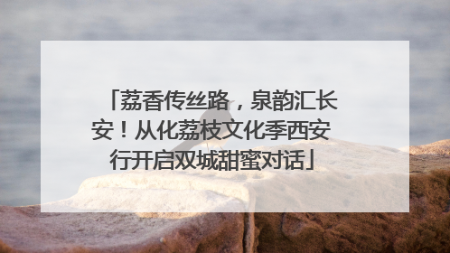 荔香传丝路，泉韵汇长安！从化荔枝文化季西安行开启双城甜蜜对话
