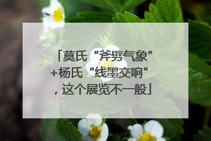 莫氏“斧劈气象”+杨氏“线墨交响”，这个展览不一般