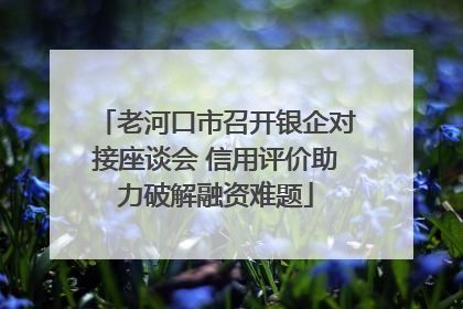 老河口市召开银企对接座谈会 信用评价助力破解融资难题