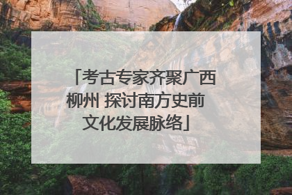 考古专家齐聚广西柳州 探讨南方史前文化发展脉络